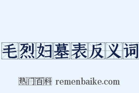 毛烈妇墓表反义词是什么意思的图片